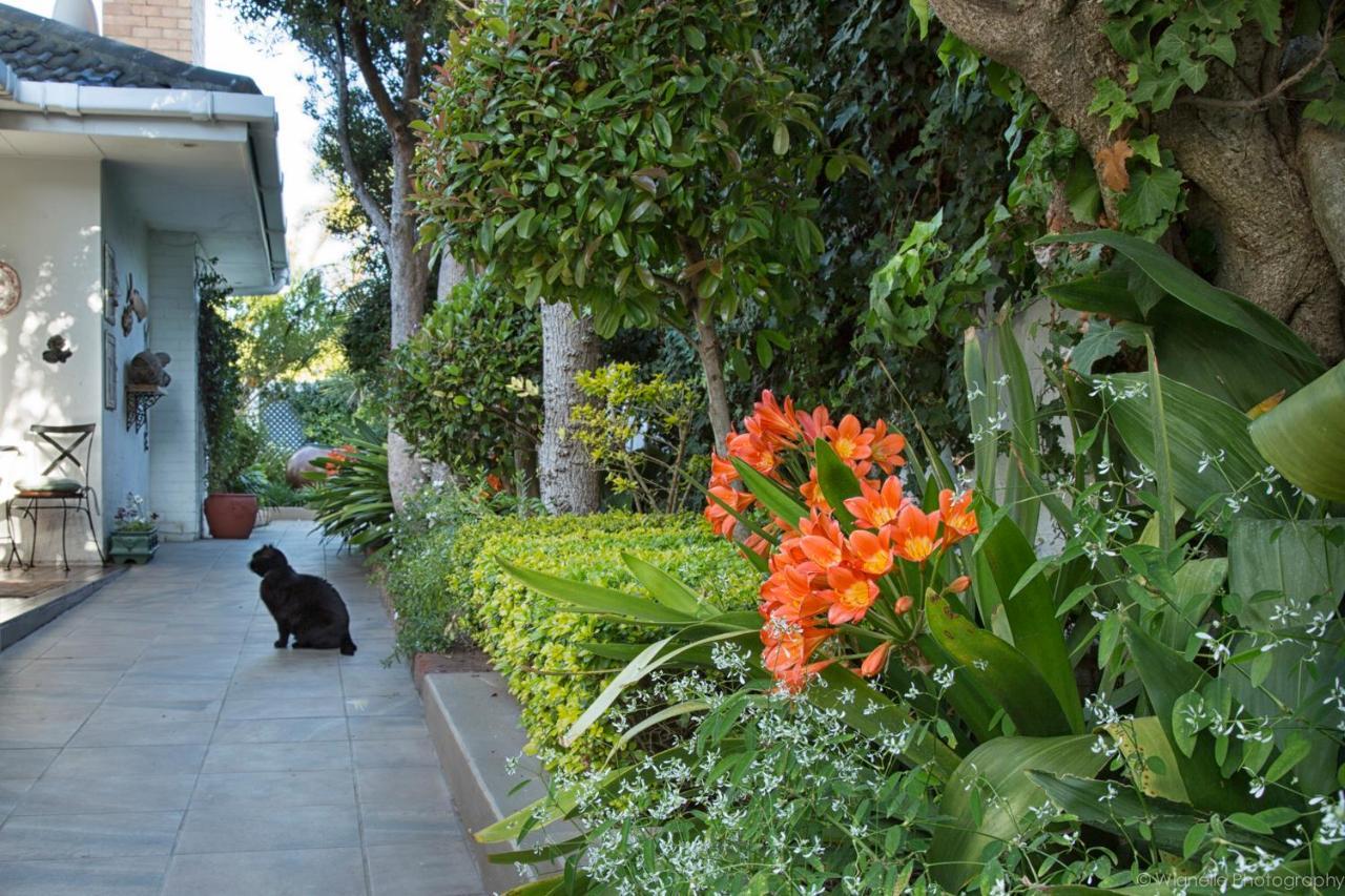 Carslogie House Bed and Breakfast Πορτ Ελίζαμπεθ Εξωτερικό φωτογραφία
